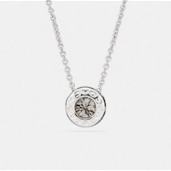 NWT Coach Open Circle Stone Strand Silver Tone Necklace - Picture 4 of 7